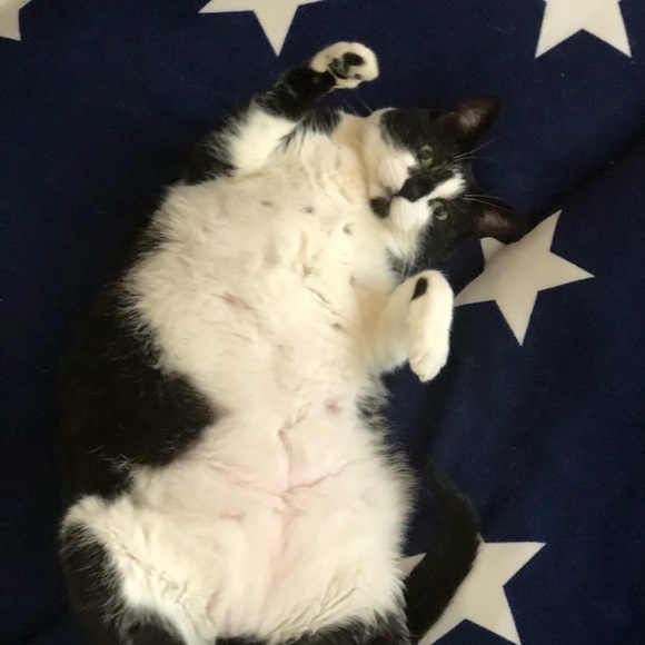 Meet your Posher, Danielle - Picture 4 of 4